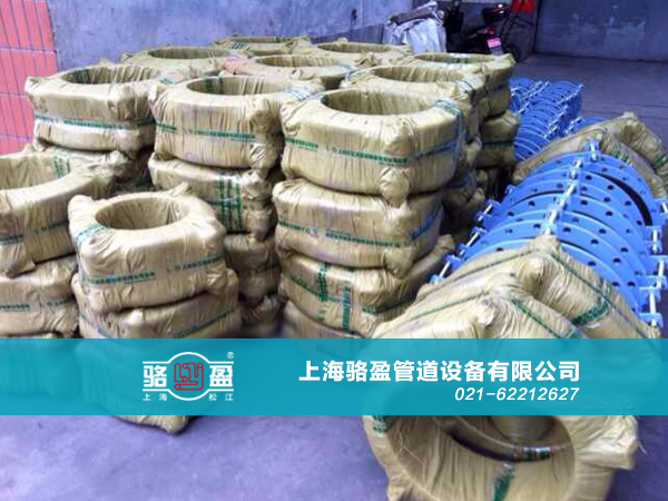 上海駱盈與山東壽光的合作項目