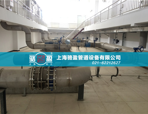 遼寧丹東市三灣電站項目現(xiàn)場